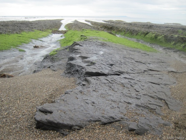 [IMG_0885%255B14%255D.jpg]