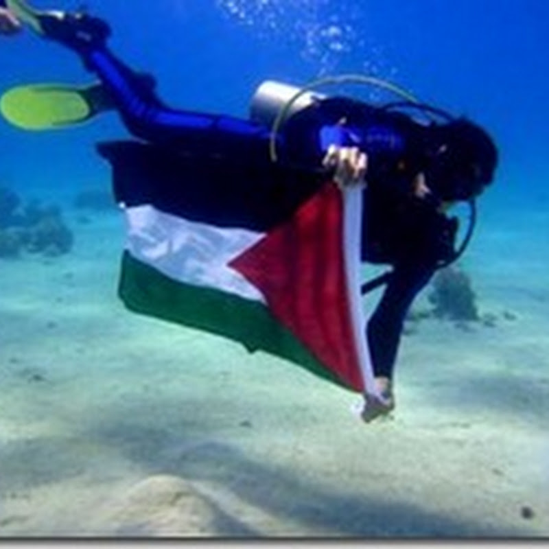أصرخ حتى أراك