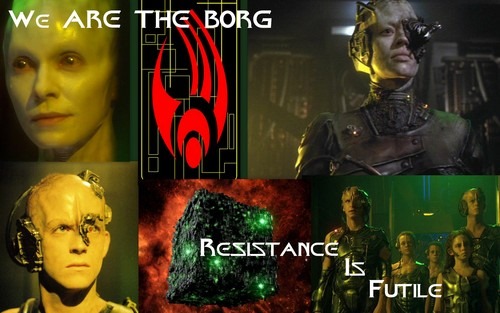 [We-are-the-Borg-Voyager-themed-star-trek-voyager-10641260-500-313%255B8%255D.jpg]