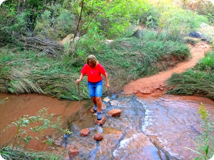 marsha crossing stream