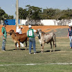 superleite2011_dia1507_103.JPG