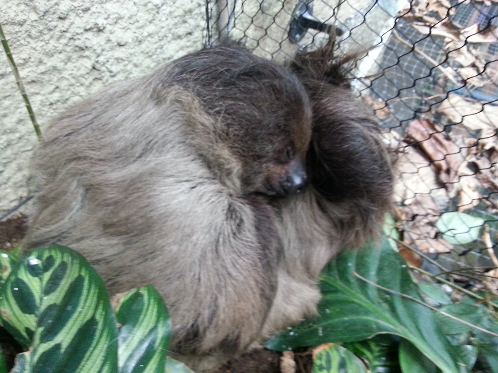 [2013-02-03%252012.34.37%255B7%255D.jpg]