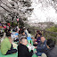 DSC02193.JPG