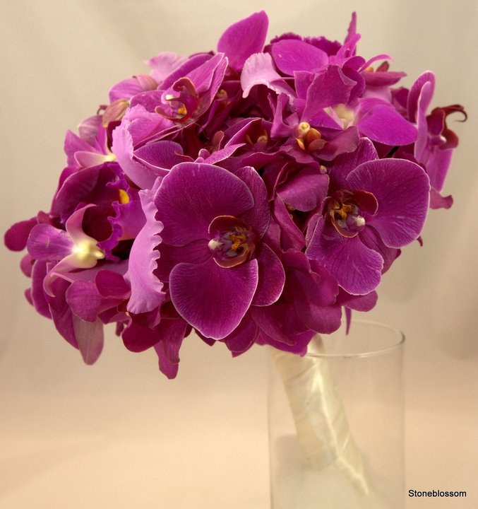 [265059_10150251825139660_78329639659%255B2%255D.jpg]