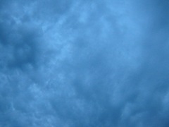 IMG_0319