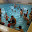 natation natation