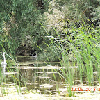 DSCN8194.JPG