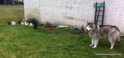 IMG_3014 IMG_3014