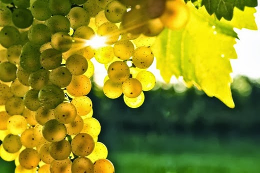 [clip_image002%255B4%255D.jpg]