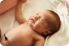 IMG_5599c IMG_5599c