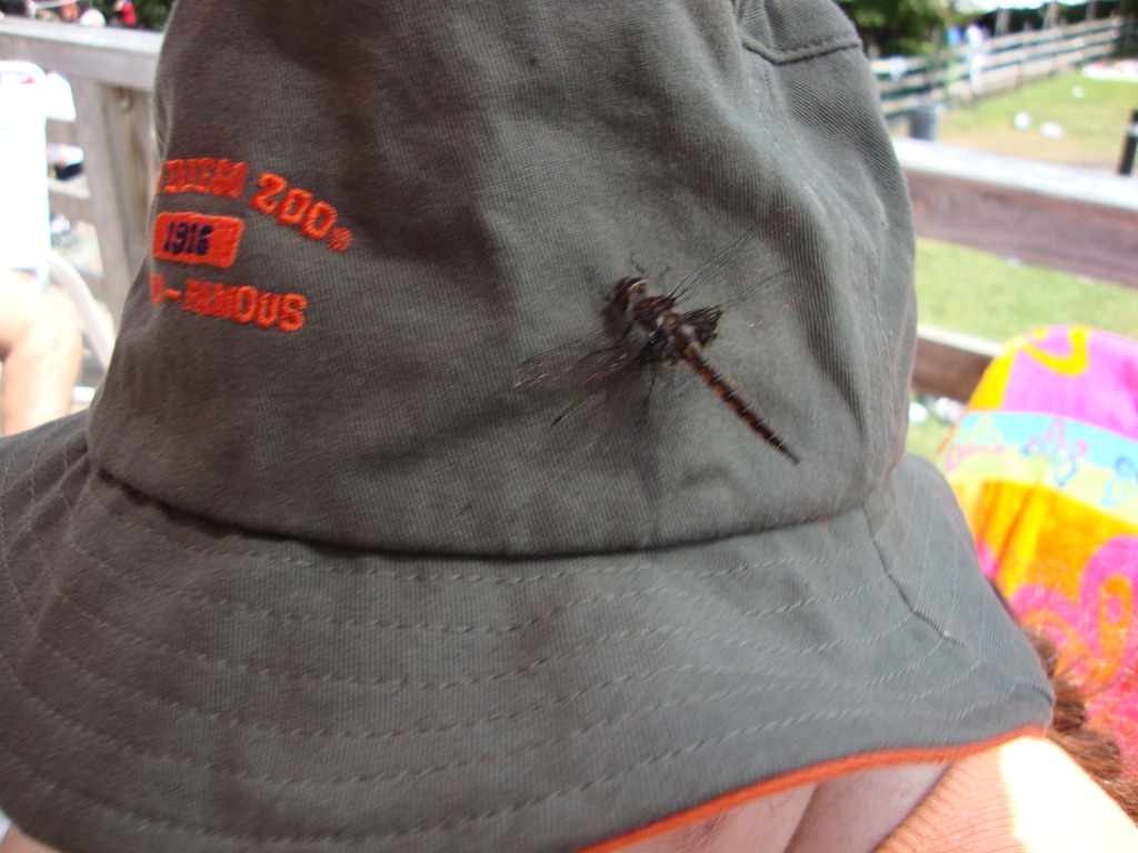 [DSC04379%255B3%255D.jpg]