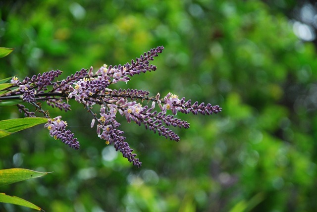 [DSC_8143%255B4%255D%255B4%255D.jpg]