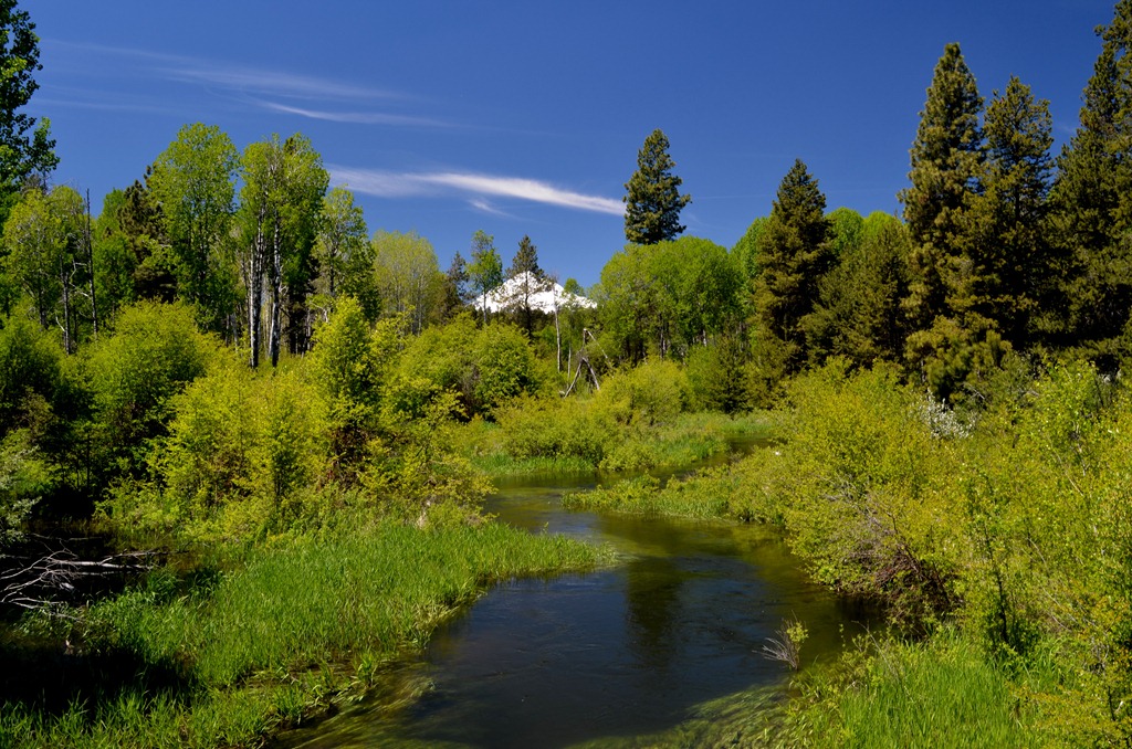 [DSC_0019%255B4%255D.jpg]