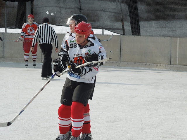 Bilder Werner feb2013 188.jpg