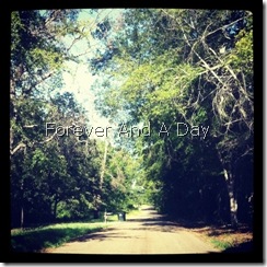 Instagram - My Road