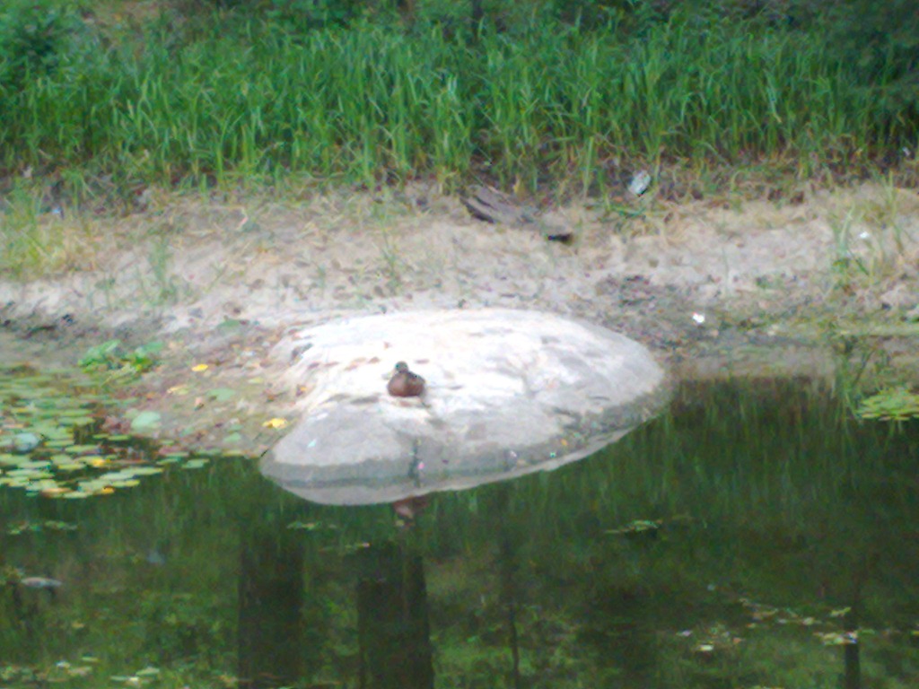 [Bild353%255B3%255D.jpg]