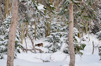 IMAGE_1000000330.JPG