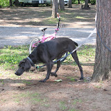 20110530Camping