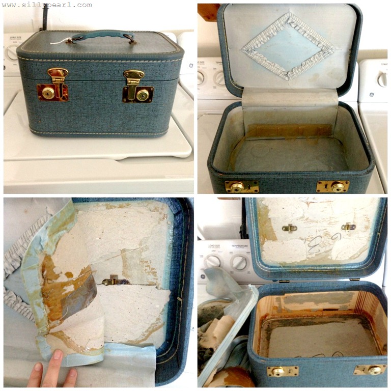 [Repurpose%2520a%2520Train%2520Case%255B6%255D.jpg]