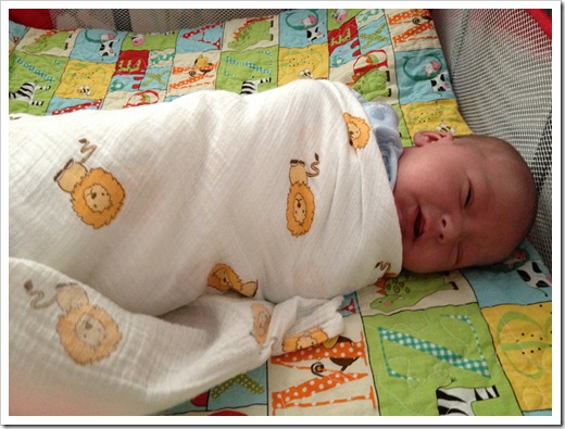 photo (14)