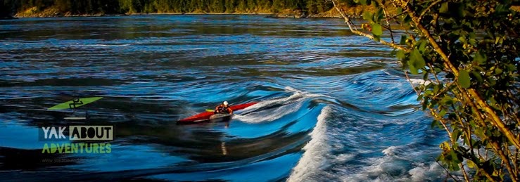 (c)Worldwildadventures-1