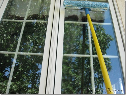 Window Cleaning Squeegee