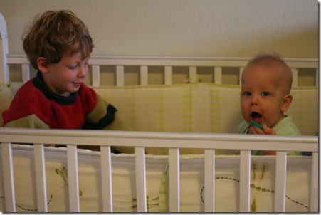 hanging in the crib hanging in the crib