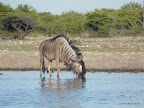 Etosha Nationalpark