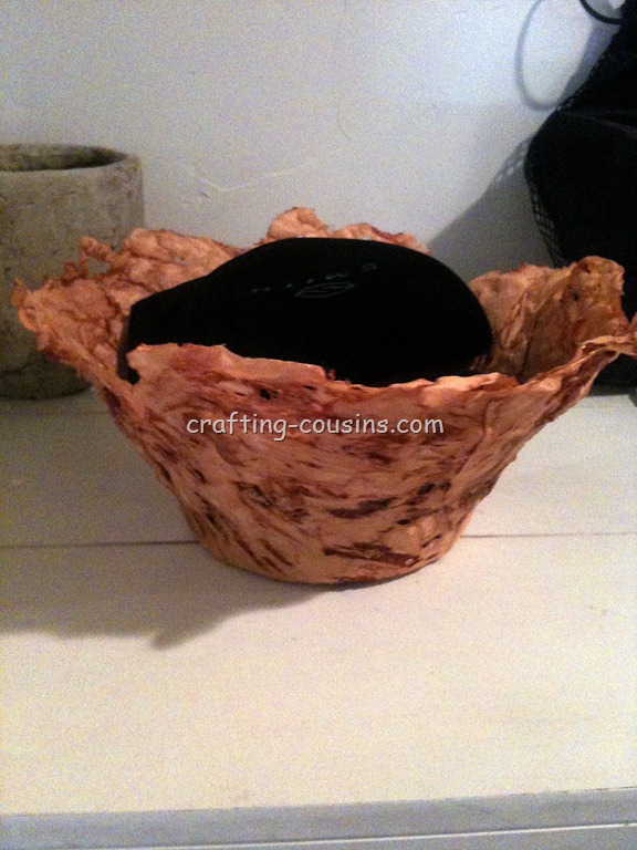 [Organza%2520Bowl%2520%25284%2529%255B4%255D.jpg]