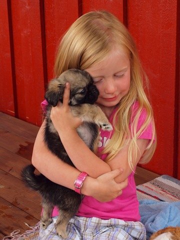 [P7112737%255B5%255D.jpg]