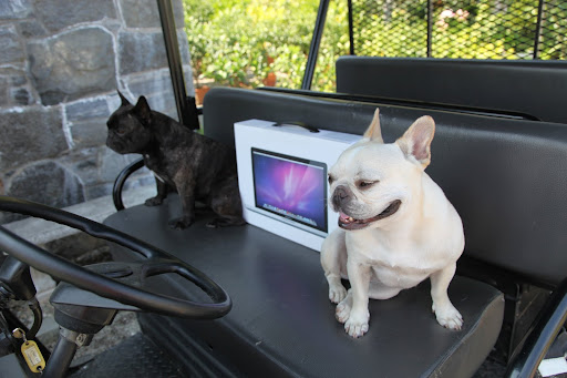 And, seeing that we are tech savvy Frenchies, it's only fitting that we help him set it up.