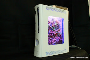 Xbox 360 Pico Reef Aquarium