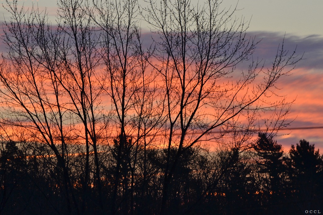 [DSC_3422%255B3%255D.jpg]