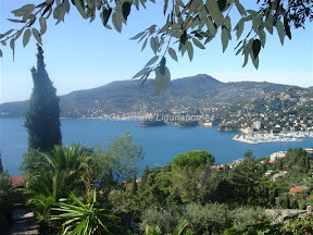 Italy Immobilien zum Verkauf in Liguria, Zoagli