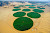 Organic Farming in the Deserts of Wadi Rum