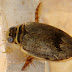20120322_6