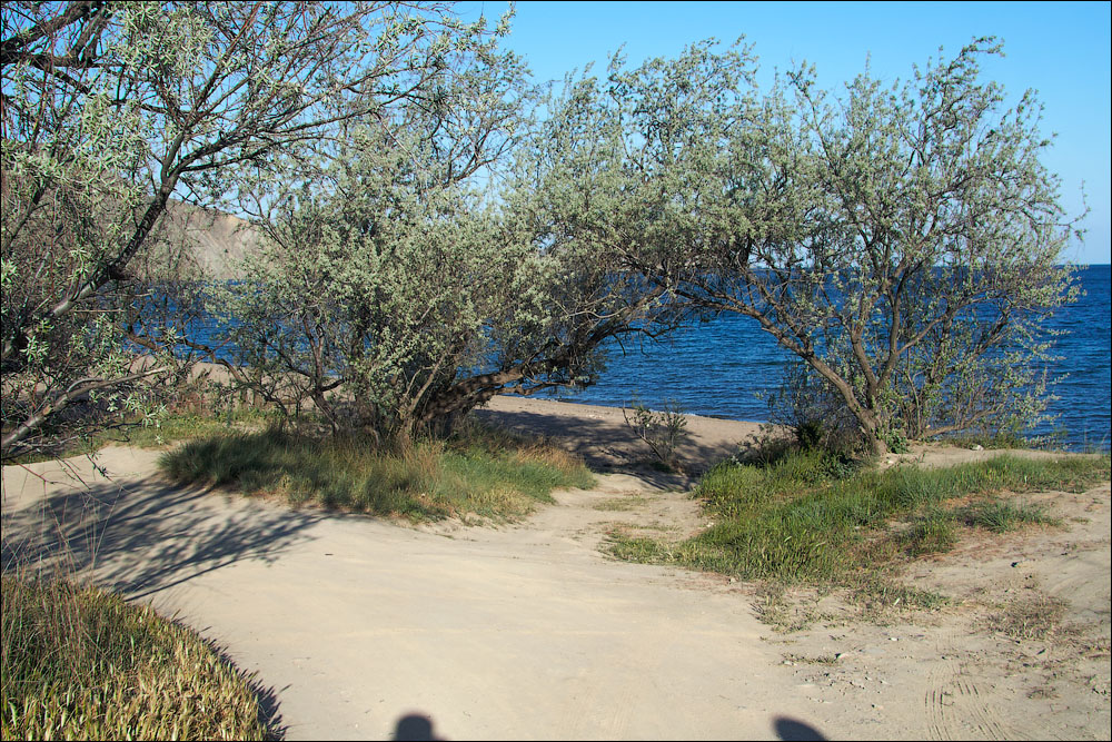 IMG_2890_small.jpg