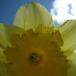 Spring! it’s Spring!