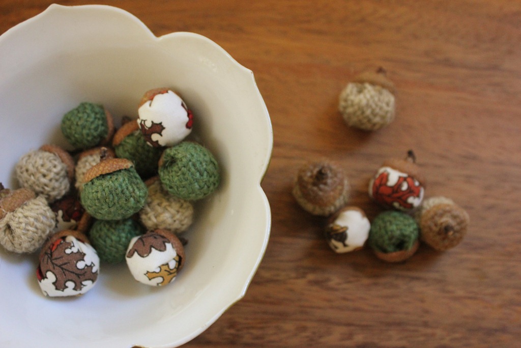 [acorn2%255B5%255D.jpg]