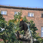 DSC_0206.jpg DSC_0206.jpg