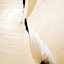– 29-Nov-2011 – 29-Nov-2011