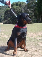 [Patas21674.jpg]