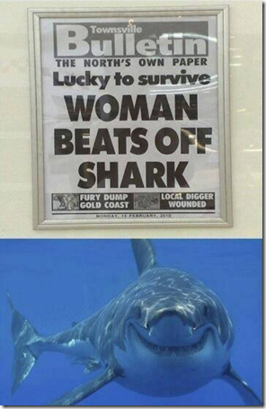 woman beats off shark2