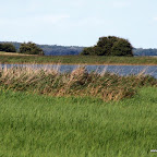 20100824_098_small.JPG