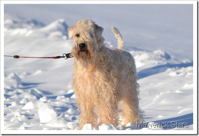 DSC_0124_redigerad-1