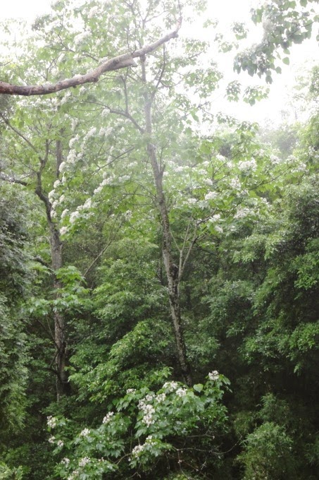2014_0501_103854 2014_0501_103854