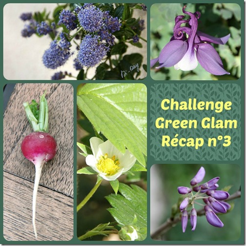 Green Glam 11-15 Di-Day Collage