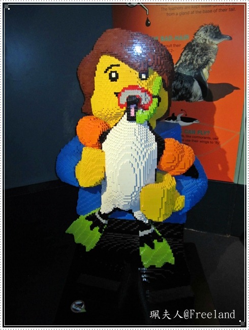 [aquarium6%255B3%255D.jpg]