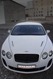 Bentley-CT-Vilner-3 Bentley-CT-Vilner-3