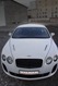 Bentley-CT-Vilner-3